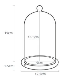 Glasglocke Mit Micro Lichterkette 20,5cm 15 Glasglocke Mit Micro Lichterkette 20,5cm -Geschäft Für Dekorative Beleuchtung D GDM15 1 C20 YW Dimensions Small Glass Dome Bell Jar Cloche P9