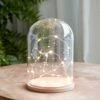 Minimalistische Glasglocke Mit Micro Lichterkette 1 Minimalistische Glasglocke Mit Micro Lichterkette -Geschäft Für Dekorative Beleuchtung D MINIMAL1 glass dome warm white micro fairy lights P1