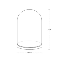 Minimalistische Glasglocke Mit Micro Lichterkette -Geschäft Für Dekorative Beleuchtung D MINIMAL1 minimal glass dome bell jar illustration dimensions P4