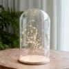 Grande Minimalistische Glasglocke Mit Micro Lichterkette -Geschäft Für Dekorative Beleuchtung D MINIMAL2 minimal tall glass dome micro fairy lights P1