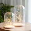 Minimalistisches Glasglocken Duo -Geschäft Für Dekorative Beleuchtung D MINIMAL3 minimal glass domes micro fairy lights bundle P1