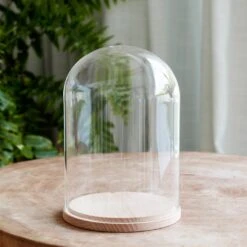 Minimalistisches Glasglocken Duo -Geschäft Für Dekorative Beleuchtung D MINIMAL3 minimal glass domes micro fairy lights bundles P3