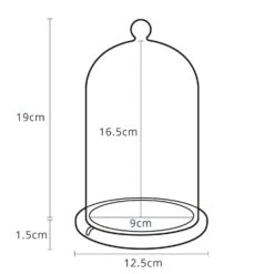 Glasglocke Mit Holzteller 20,5cm 16 Glasglocke Mit Holzteller 20,5cm -Geschäft Für Dekorative Beleuchtung GDM15 1 Dimensions Glass Dome Bell Jar Cloche P9