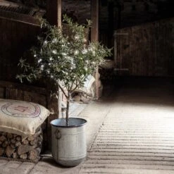 100er LED Batterie Lichterkette Außen Weiß Transparentes Kabel -Geschäft Für Dekorative Beleuchtung LL100WC 100 White Outdoor Battery Lights olive tree barn P1