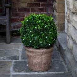 60er LED Buchsbaum Lichternetz Weiß