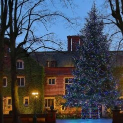 Core Connect 40m 400er LED Lichterkette Bunt Koppelbar Grünes Kabel -Geschäft Für Dekorative Beleuchtung ML100MG multi coloured Christmas tree lights at queen ethelburgas york P3 cc213821 dbe0 4433 982e 1fcc91bc7190