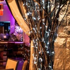 Core Connect 10m 100er LED Lichterkette Weiß Koppelbar Transparentes Kabel -Geschäft Für Dekorative Beleuchtung ML100WC White Connectable Christmas Lights On Banyan Tree Harrogate P4