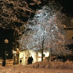 Core Connect 50m 500er LED Lichterkette Weiß Koppelbar Grünes Kabel -Geschäft Für Dekorative Beleuchtung ML100WG White LED Fairy Lights P4 1880ef0b 3051 431f 8766 5e3e1f801bb1