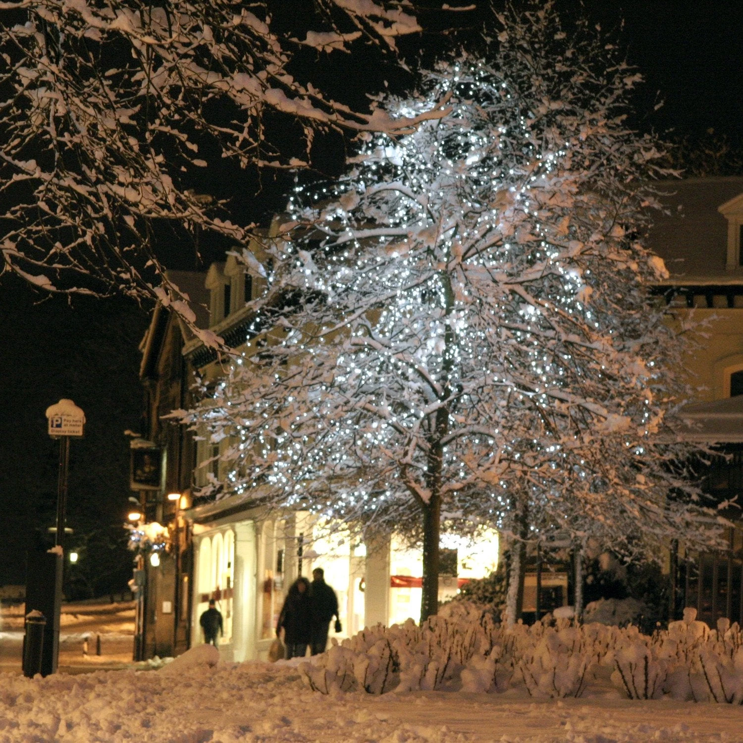 Core Connect 30m 300er LED Lichterkette Weiß Koppelbar Grünes Kabel 6 Core Connect 30m 300er LED Lichterkette Weiß Koppelbar Grünes Kabel – Bild 4