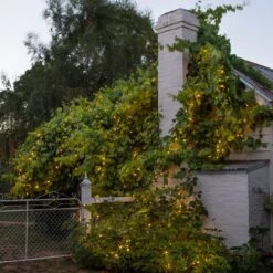 Core Connect 10m 100er LED Lichterkette Warmweiß Koppelbar Grünes Kabel -Geschäft Für Dekorative Beleuchtung ML100YWG Outdoor Warm White Core Rangeh Fairy Lights String P3