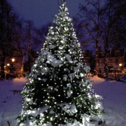 Core Connect 2m X 2m 140er LED Lichternetz Weiß Koppelbar Grünes Kabel -Geschäft Für Dekorative Beleuchtung ML140WG White Net Light P7