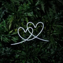 LED Neonlampe Herzen Warmweiß -Geschäft Für Dekorative Beleuchtung PL22002 Neonlampe LED Zwei Herzen Warmweiss Unbeleuchtet