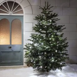 Pro Connect 50m 500er LED Lichterkette Weiß Koppelbar Schwarzes Kabel -Geschäft Für Dekorative Beleuchtung PR50WB Lichterkette weiss Tannenbaum Baumbeleuchtung Aussen Weihnachten Schnee cb2b48ea 86b8 4e4f b3de 95e365f78f4e