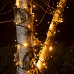 Pro Connect 105m 1050er LED Lichterkette Gold Warmweiß Koppelbar Schwarzes Kabel -Geschäft Für Dekorative Beleuchtung PR50YWB Weihnachtsbaumbeleuchtung Aussen gold warmweiss Nahaufnahme Pro Serie 135b5881 b996 4f8a ad10 2e42df9ea8c3