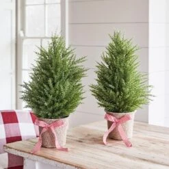 55cm Mini Weihnachtsbaum Tanne -Geschäft Für Dekorative Beleuchtung TR21004 Mini Weihnachtsbaum Tanne Schleife Duo