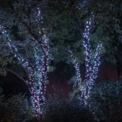 Twinkly 32m 400 LED Smarte Lichterkette Bunt Und Weiß Edition -Geschäft Für Dekorative Beleuchtung Twinkly smarte Lichterkette 35 2000x2000 6ac4737b bcc9 4608 abf1 ec1a3e5be837