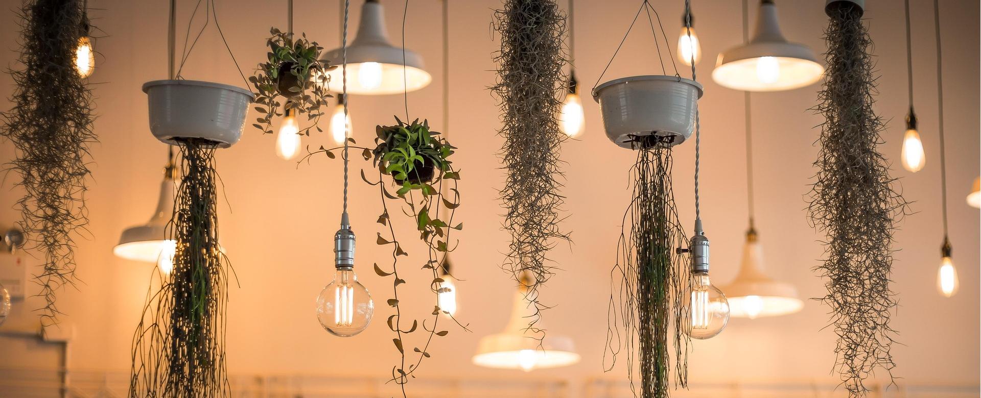 Geschäft Für Dekorative Beleuchtung -Geschäft Für Dekorative Beleuchtung lights 1867437 1920